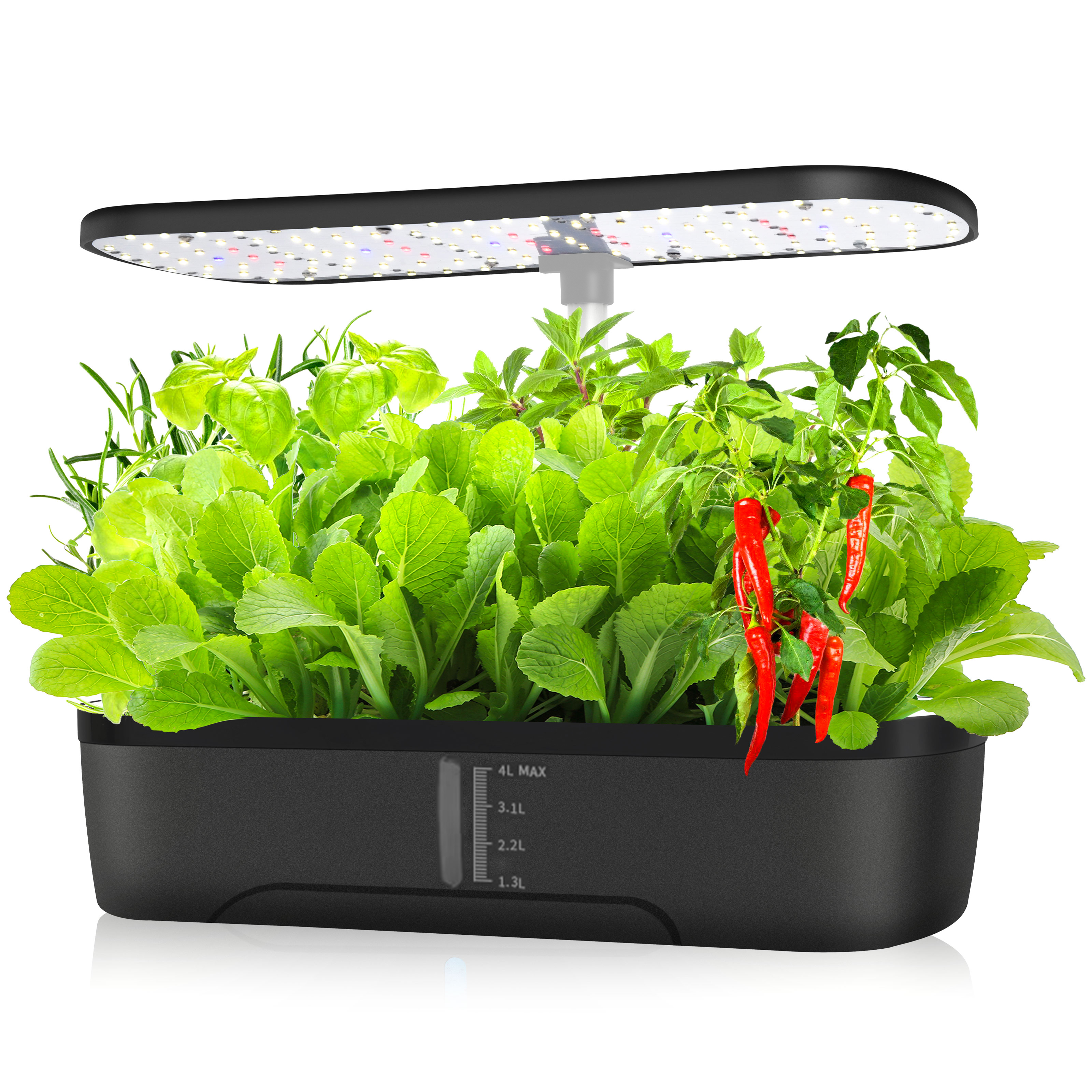Indoor Herb Garden Kit - 12 Pods Hydroponics Growing System, Herb