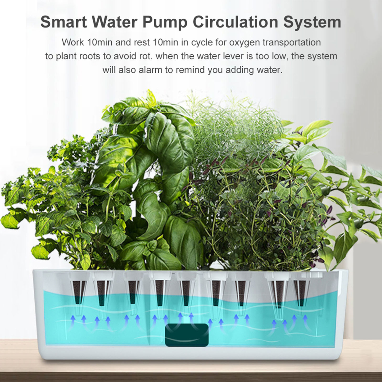 Indoor Herb Garden Kit - Smart Hydroponics Growing System Indoor Garden