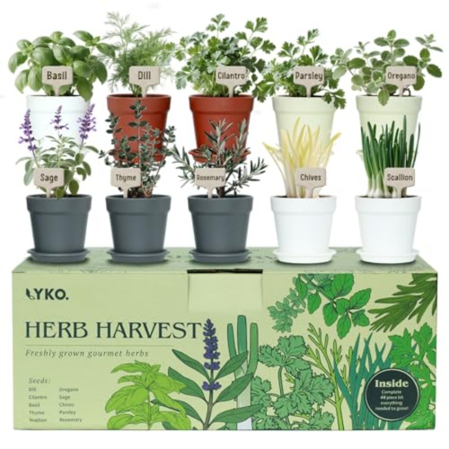 Indoor Herb Garden Kit - 10 Indoor Herb Garden Kit 33pcs