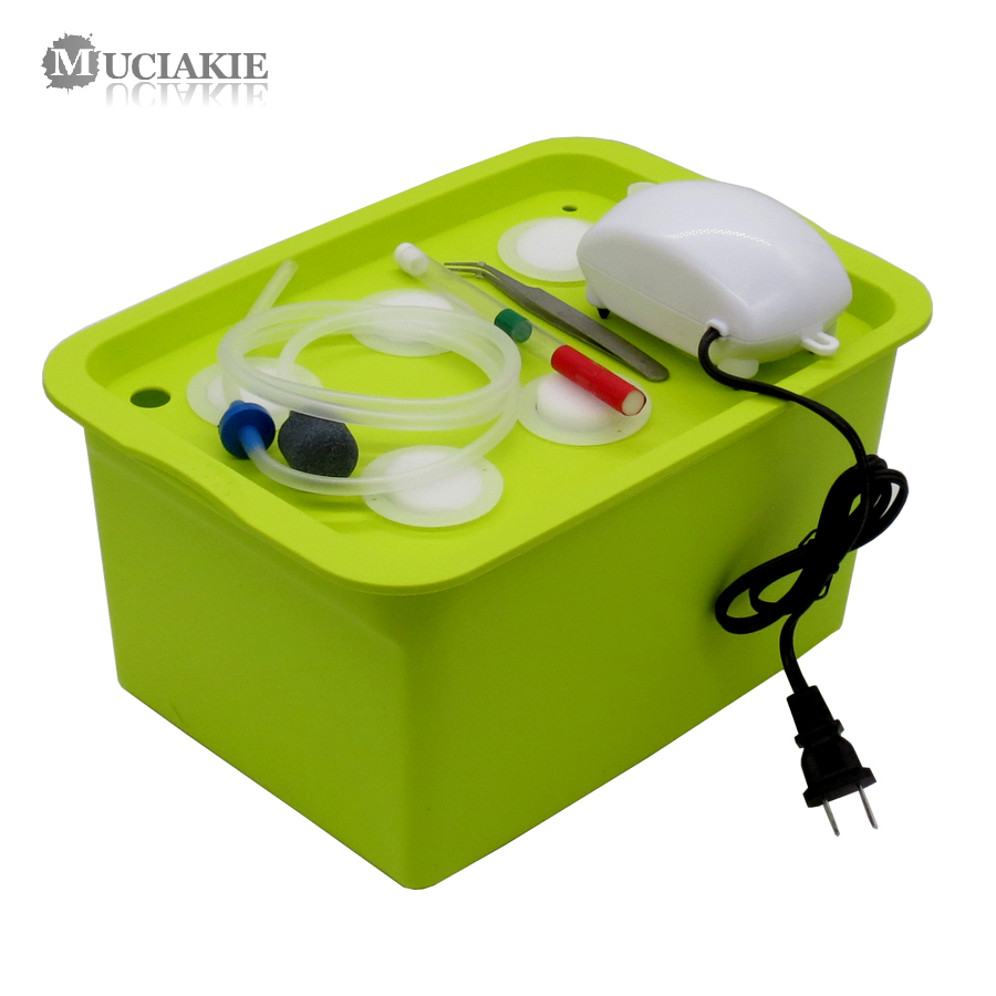 Indoor Herb Garden Kit - 1 KIT 220/110V Hydroponic Systems Plant