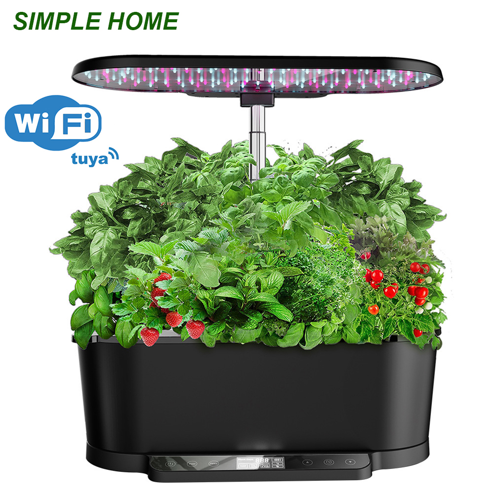 Home Garden, Hydroponic Growin – Indoor Herb Garden Kit Bewertung und Preis