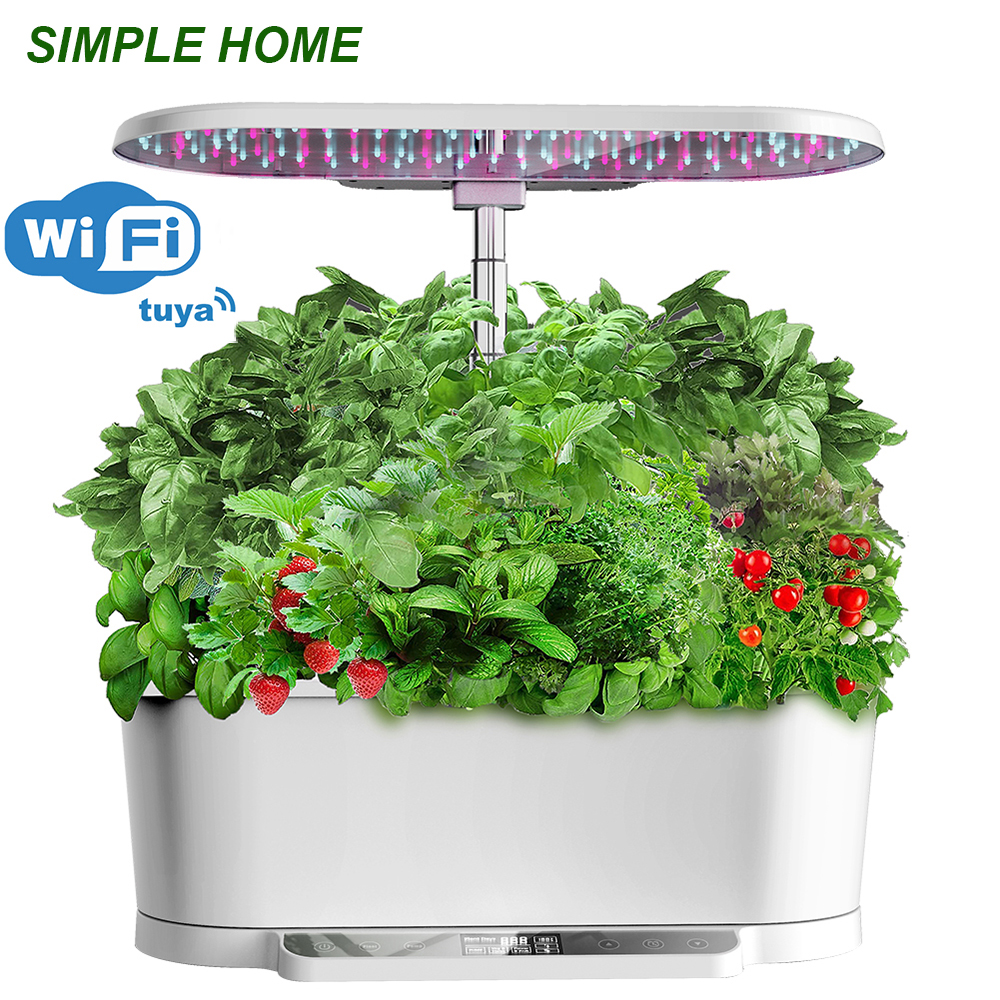 Home Garden, Hydroponic Growin – Indoor Herb Garden Kit Bewertung und Preis