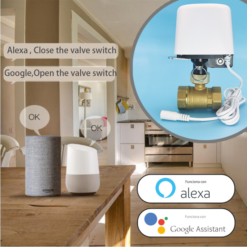 Wifi  Zigbee Tuya Water Valve  – Smart Garden Home Assistant Bewertung und Preis