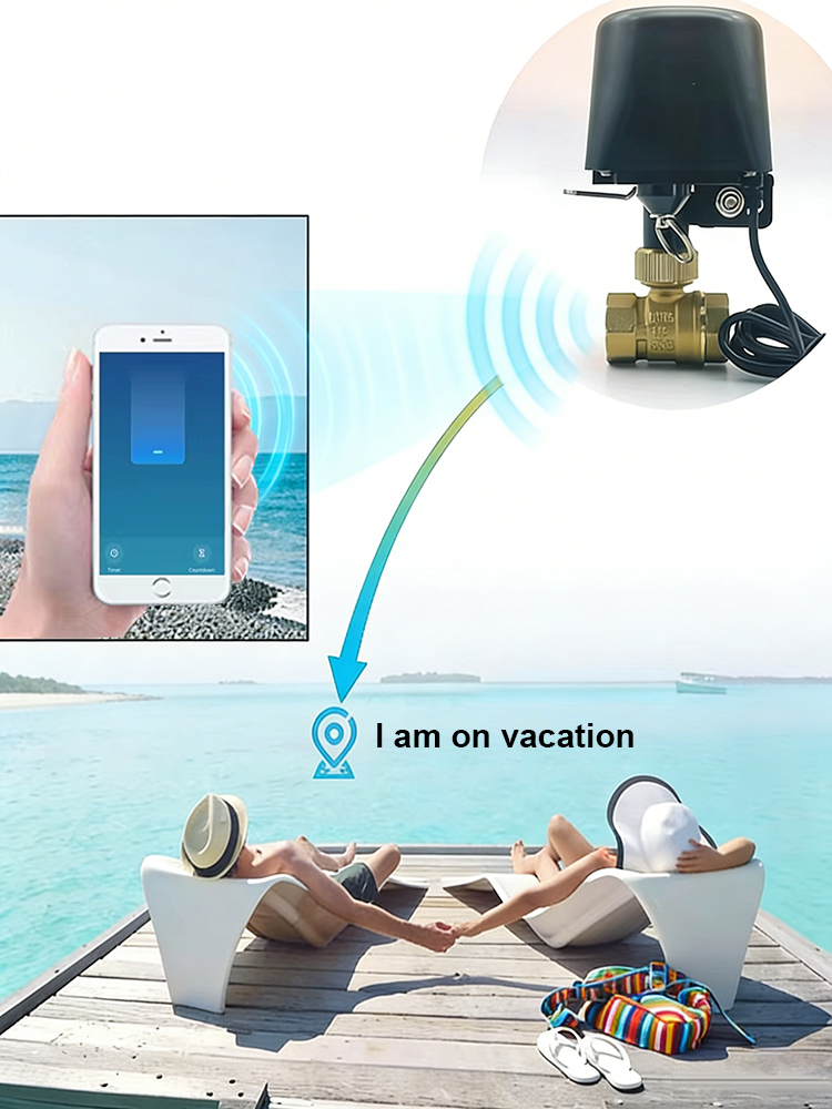 Tuya Smart Water Valve​ DN15/D – Smart Garden Home Assistant Bewertung und Preis