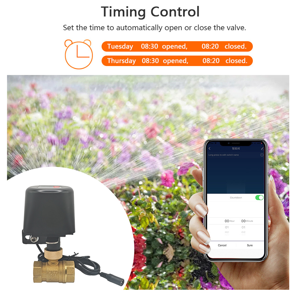 Tuya Smart Water Valve​ DN15/D – Smart Garden Home Assistant Bewertung und Preis
