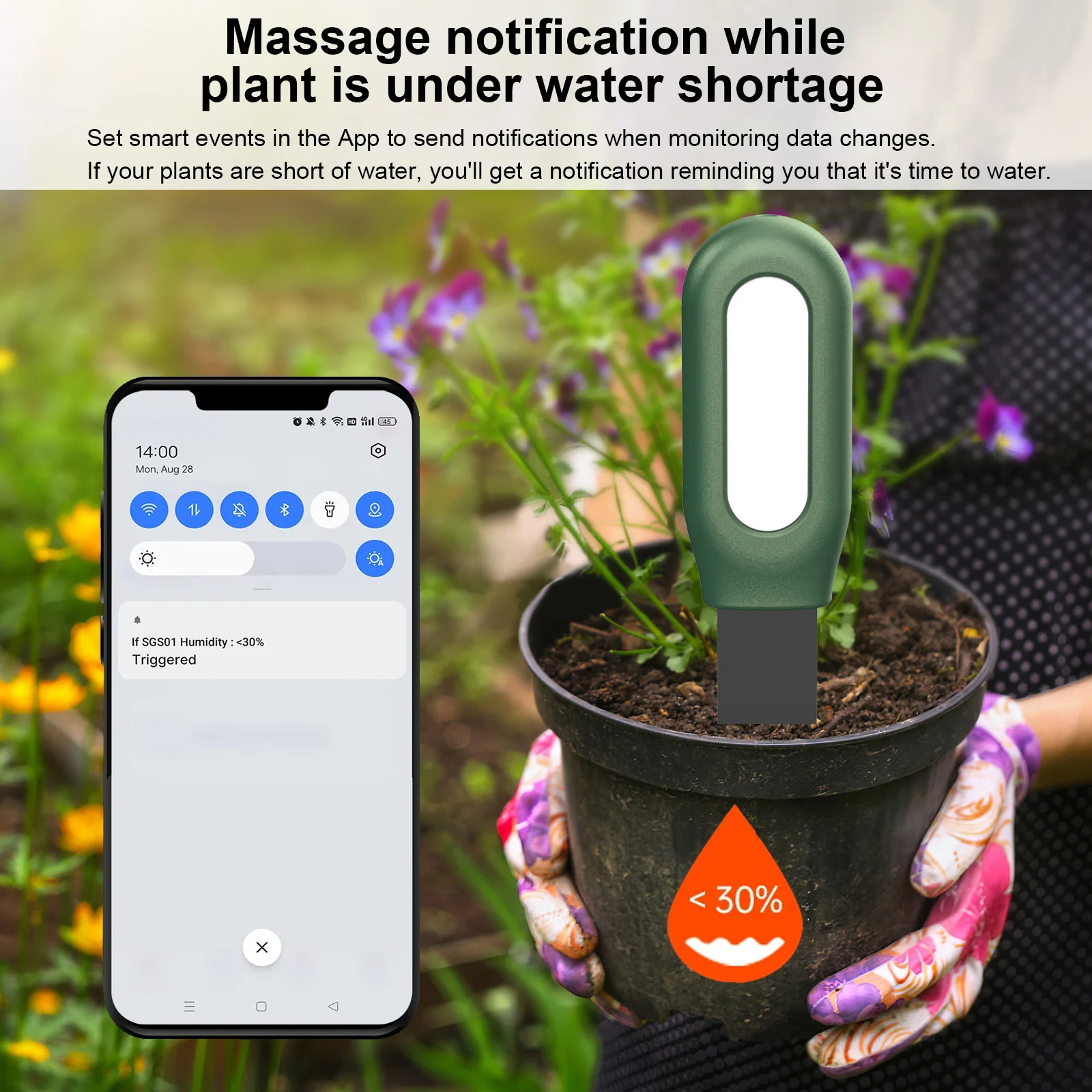 Haozee Tuya Zigbee Soil Sensor – Smart Garden Home Assistant Bewertung und Preis