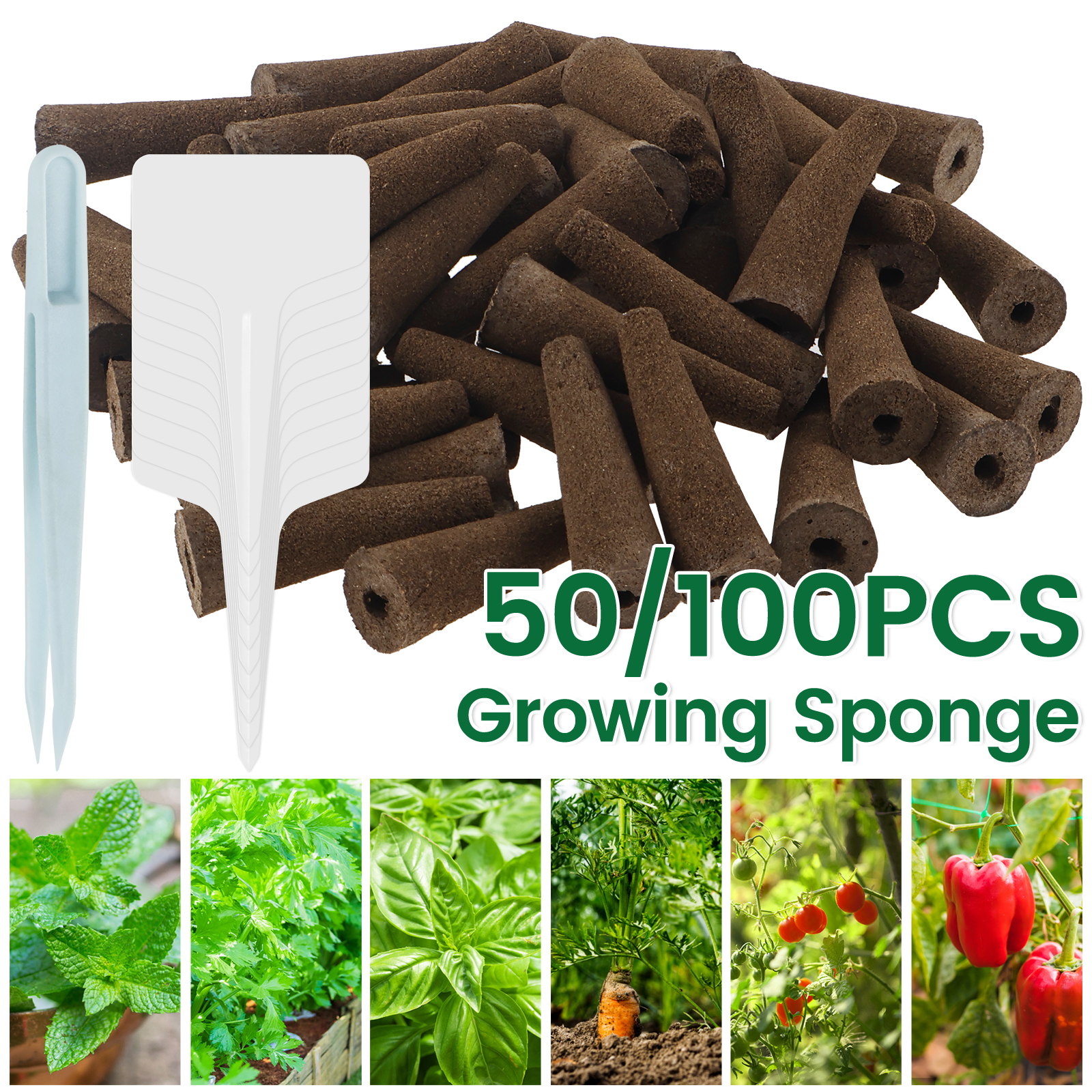 100Pcs Seed Grow Sponges Repla – Indoor Herb Garden Kit Bewertung und Preis