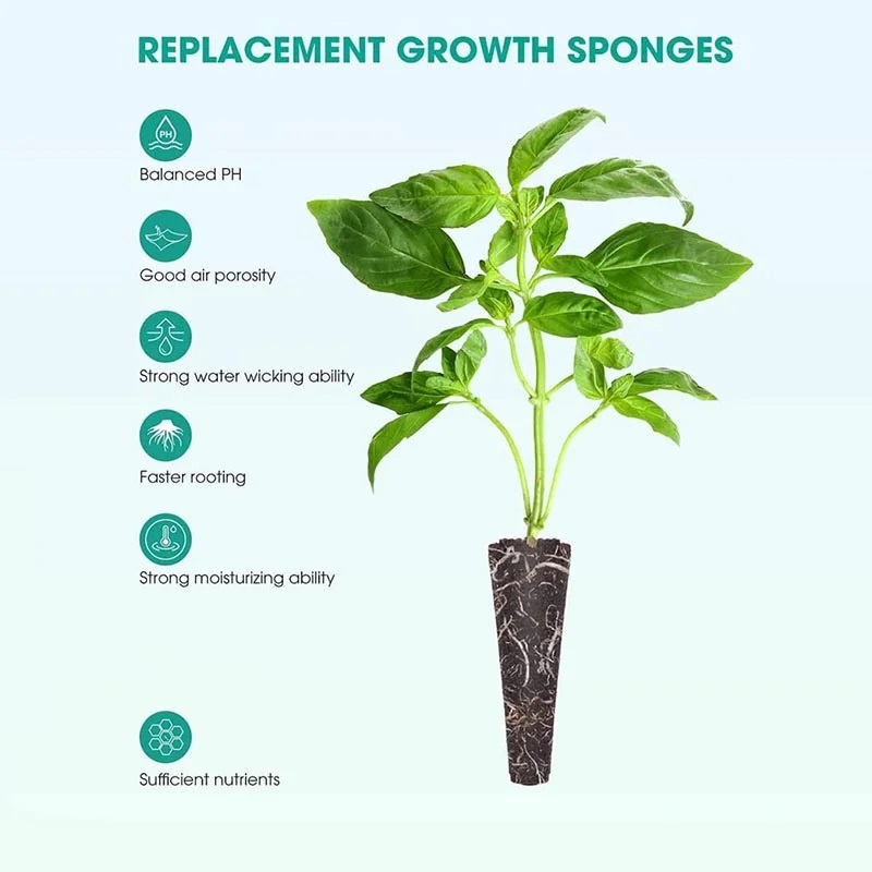 100Pcs Seed Grow Sponges Repla – Indoor Herb Garden Kit Bewertung und Preis