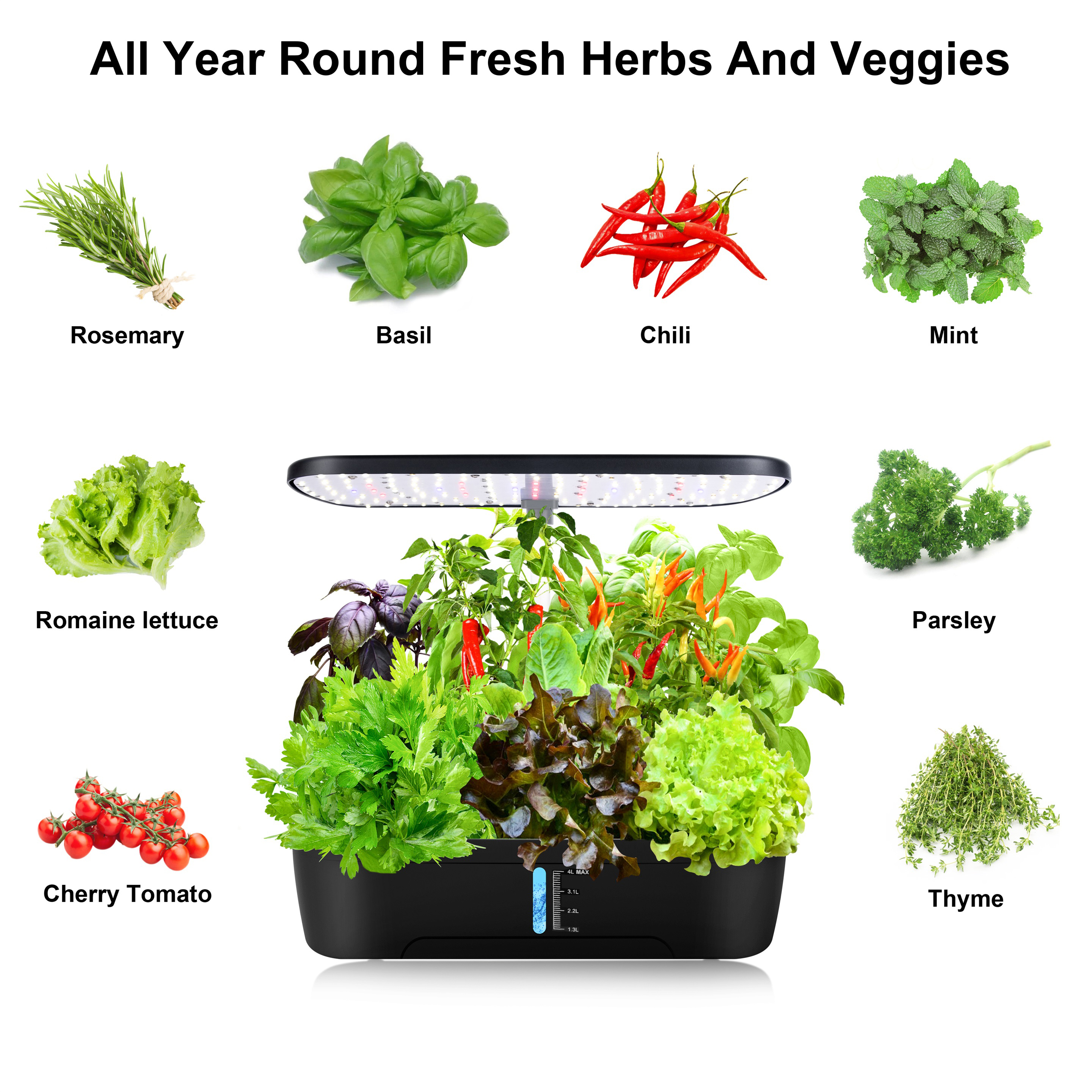 12 Pods Hydroponics Growing Sy – Indoor Herb Garden Kit Bewertung und Preis