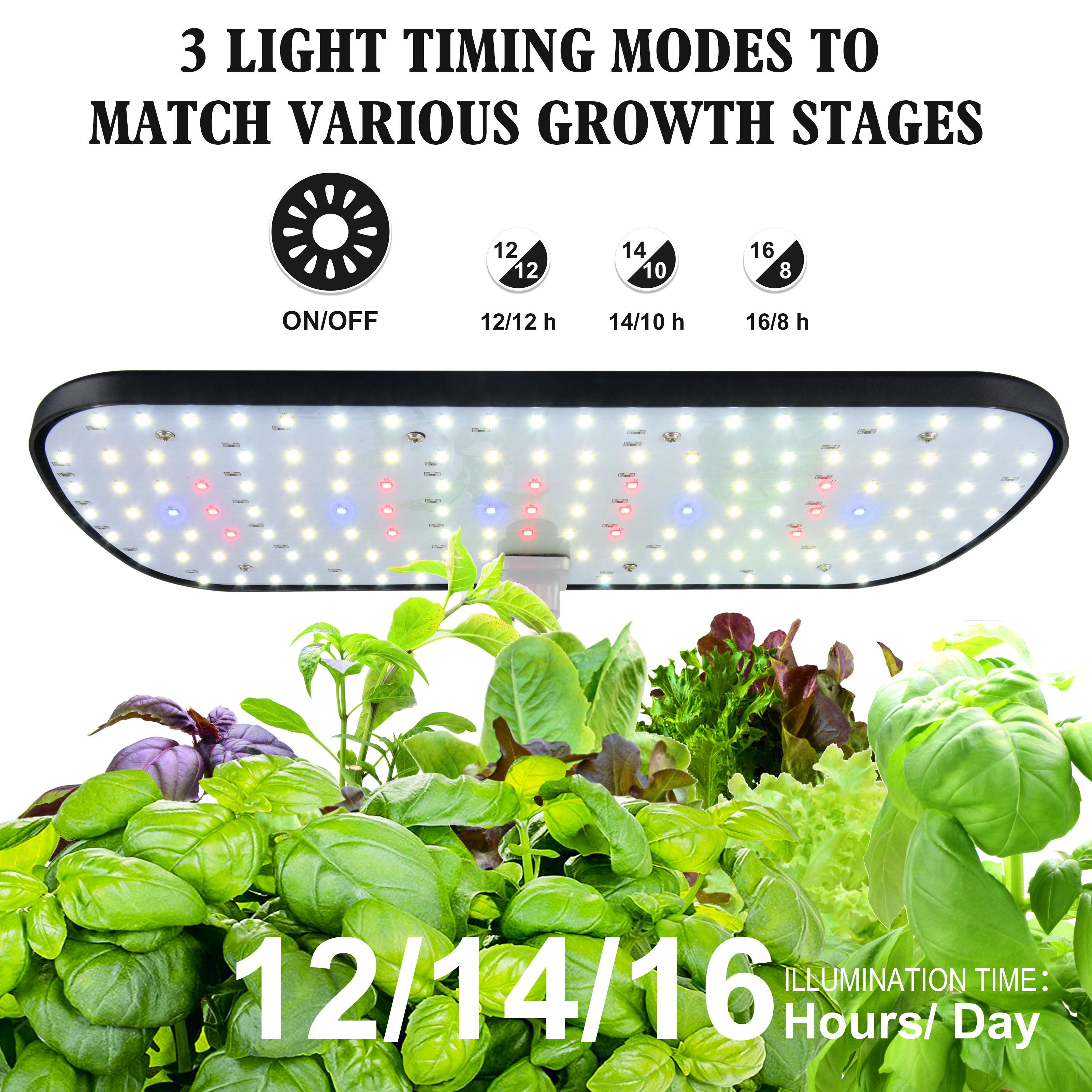 12 Pods Hydroponics Growing Sy – Indoor Herb Garden Kit Bewertung und Preis