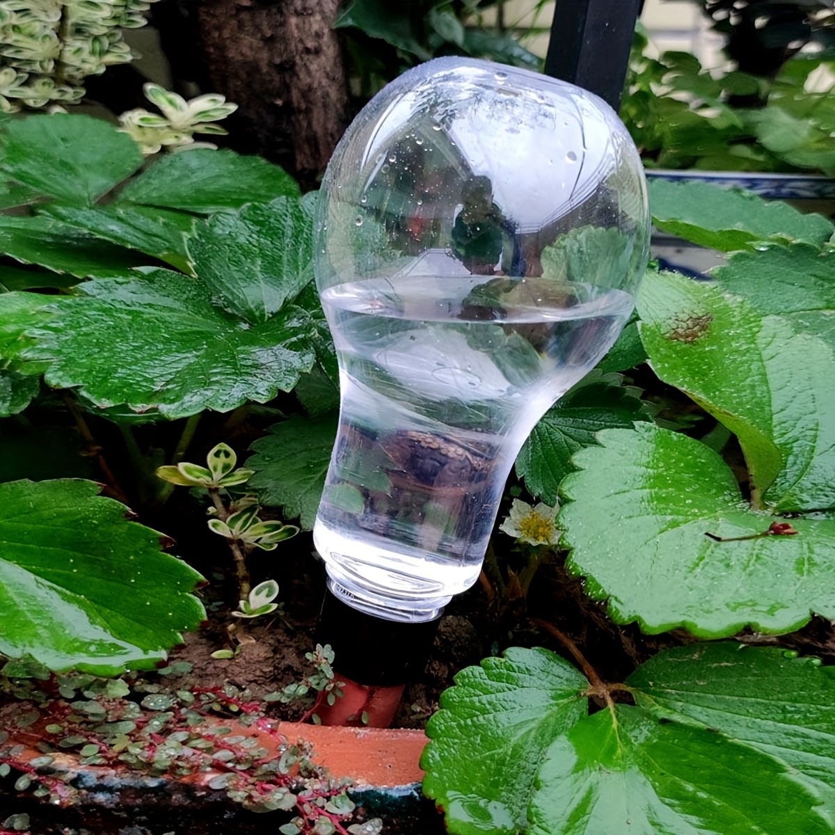 Garden Automatic Watering Tool – Smart Garden Kit Bewertung und Preis