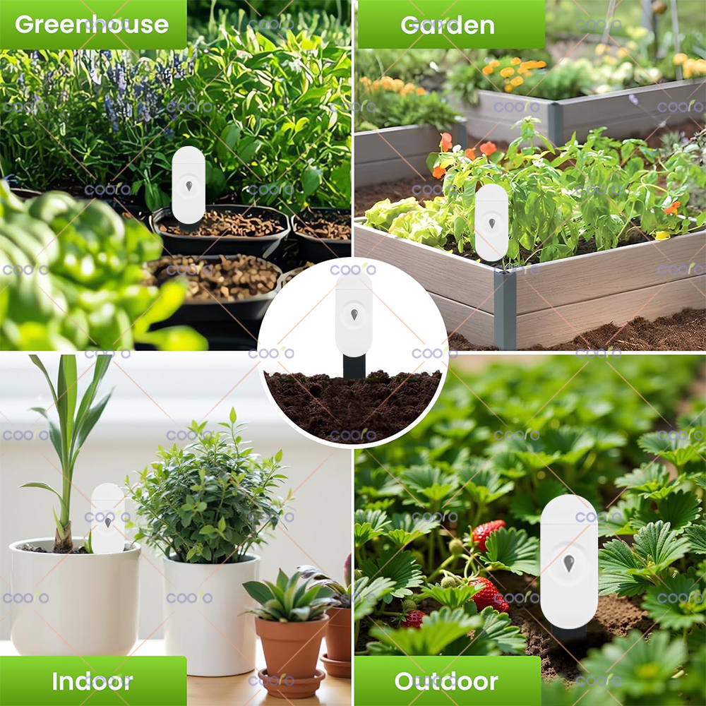 Zigbee Smart Soil Tester Humid – Smart Garden Home Assistant Bewertung und Preis