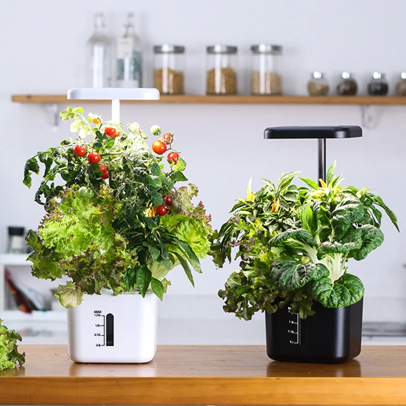 Growing System Indoor Garden 4 – Indoor Herb Garden Kit Bewertung und Preis
