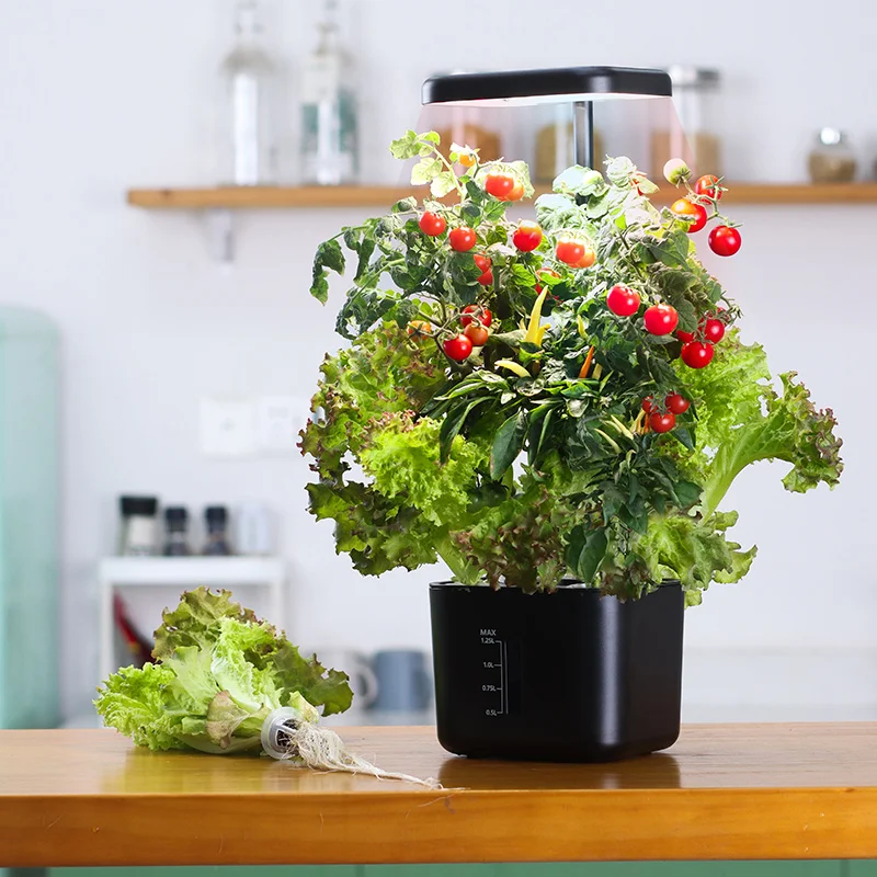 Growing System Indoor Garden 4 – Indoor Herb Garden Kit Bewertung und Preis