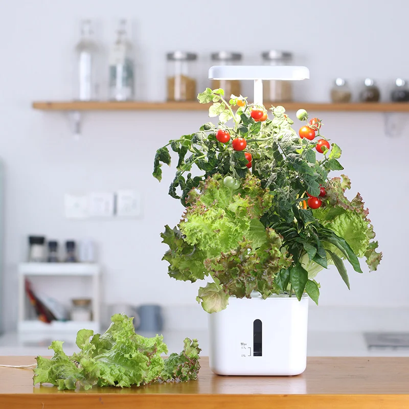Growing System Indoor Garden 4 – Indoor Herb Garden Kit Bewertung und Preis