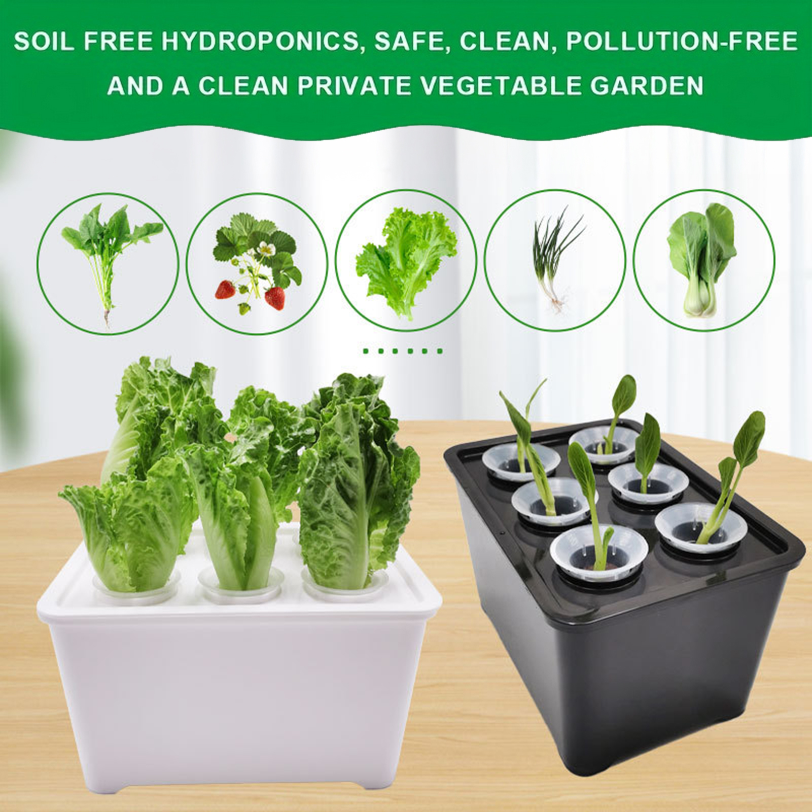 6 in 1 Hydroponic Nursery Pots – Indoor Herb Garden Kit Bewertung und Preis