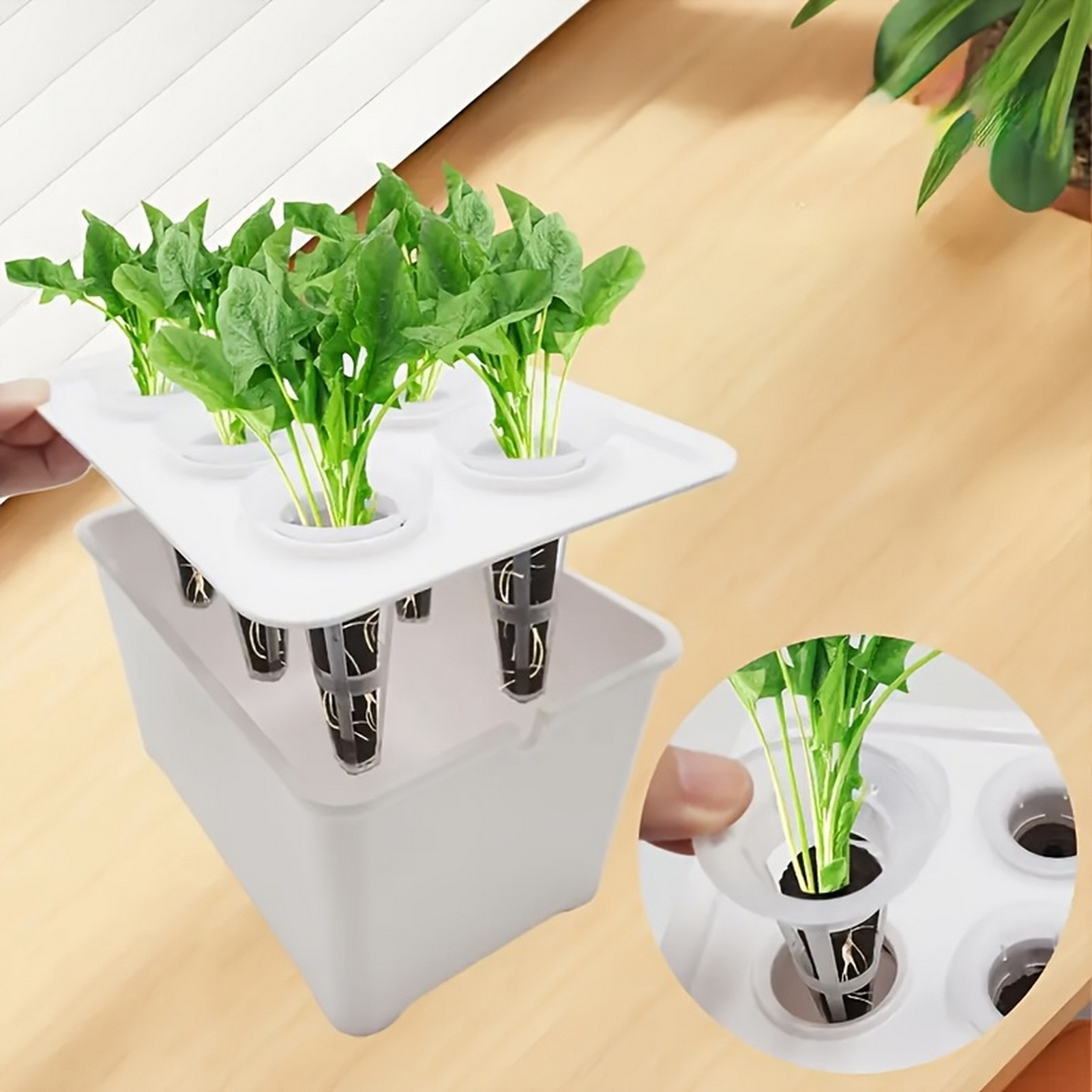 6 in 1 Hydroponic Nursery Pots – Indoor Herb Garden Kit Bewertung und Preis