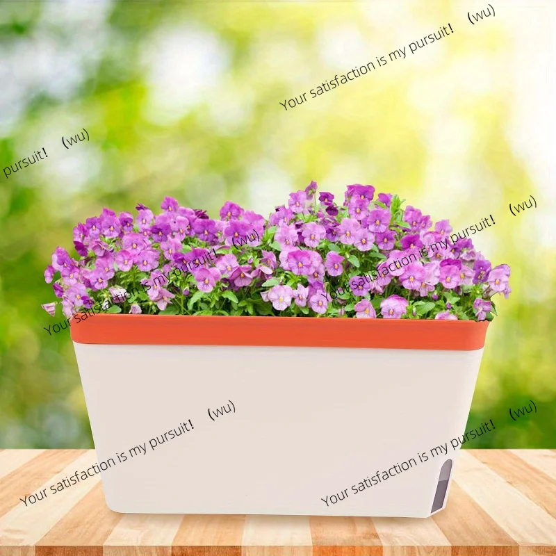 Self-Watering Windowsill Plant – Indoor Herb Garden Kit Bewertung und Preis