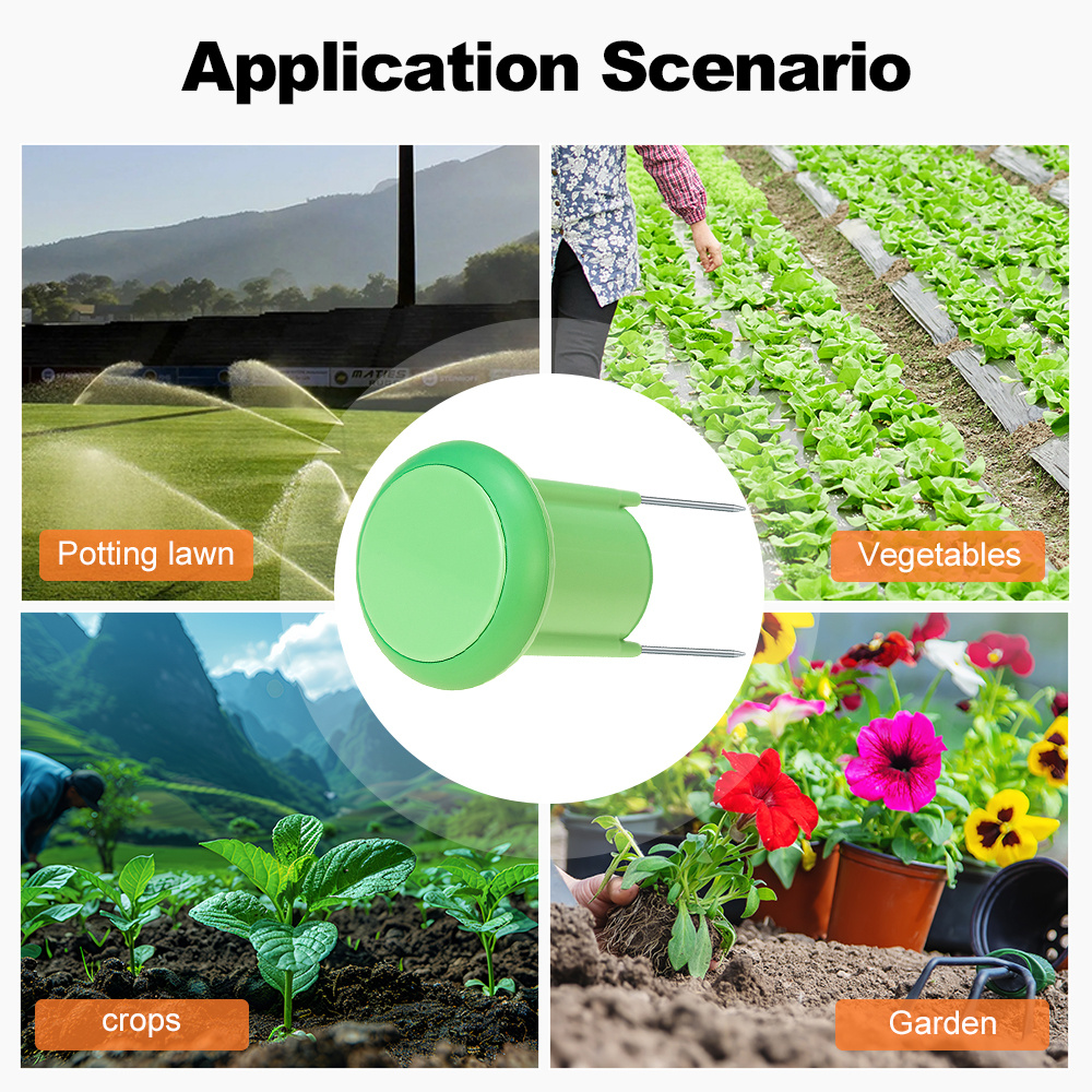 Zigbee Smart Soil Sensor Plant – Smart Garden Sensors Bewertung und Preis