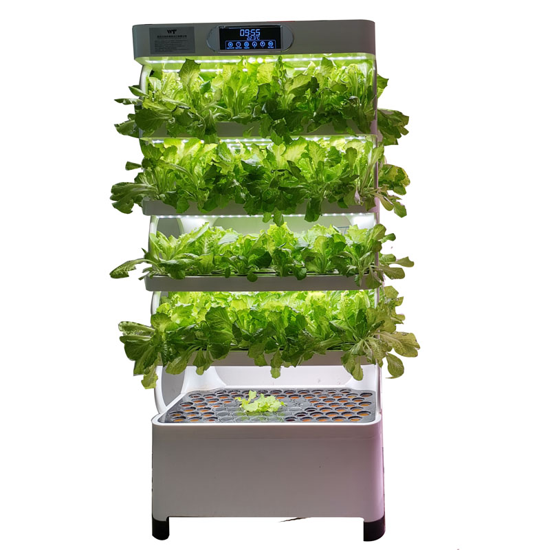 Indoor Smart Low Cost Hydropon – Smart Garden Kit Bewertung und Preis
