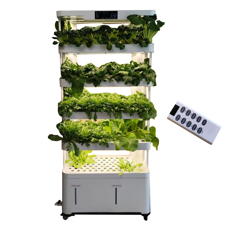 Indoor Smart Low Cost Hydropon – Smart Garden Kit Bewertung und Preis