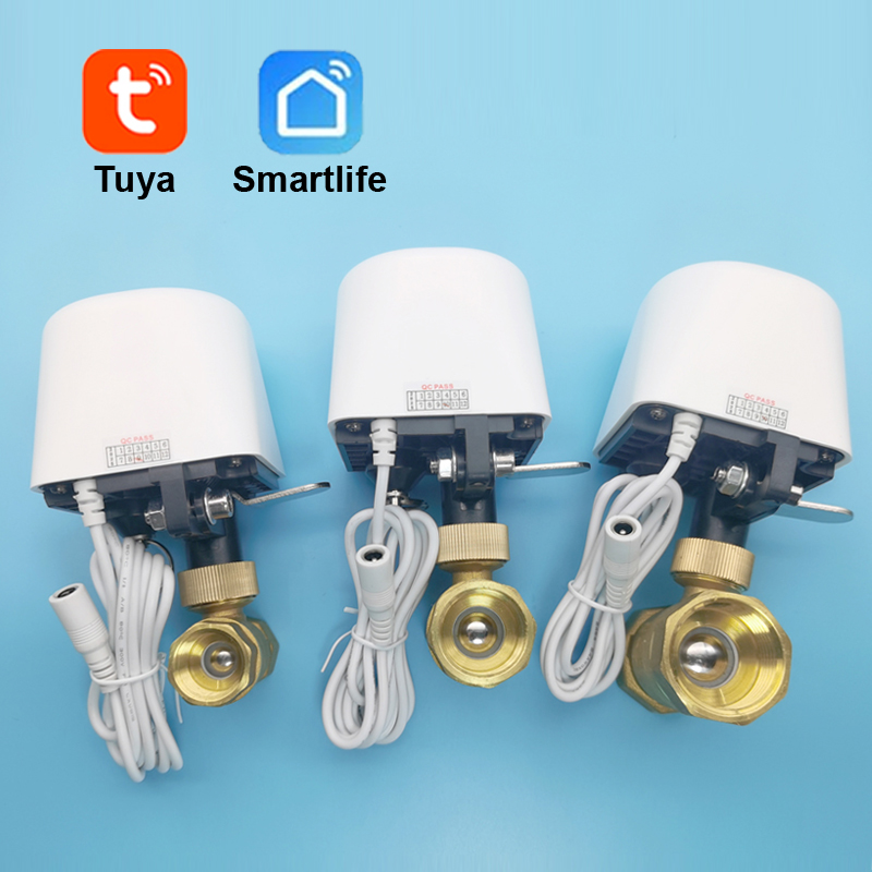 Smart Tuya WiFi Zigbee Water V – Smart Garden Home Assistant Bewertung und Preis