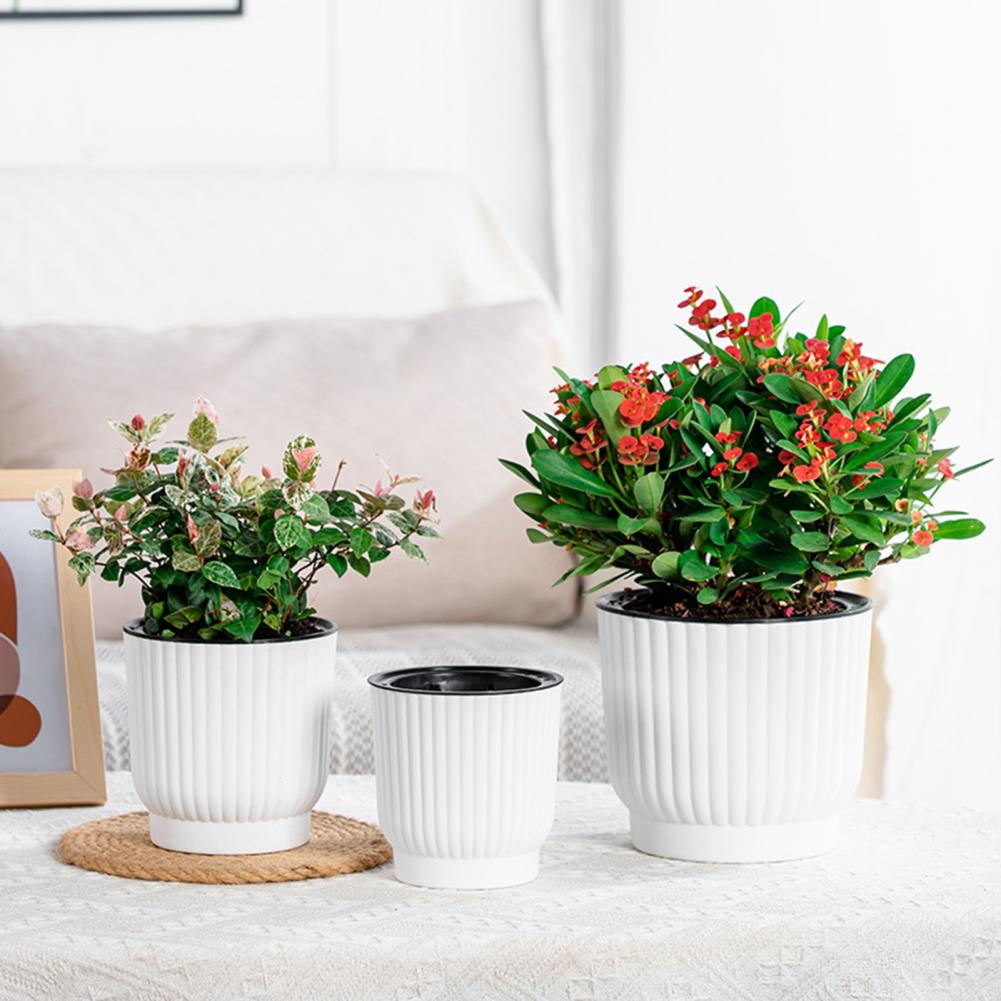 Indoor Self Watering Pot Venti – Indoor Herb Garden Kit Bewertung und Preis