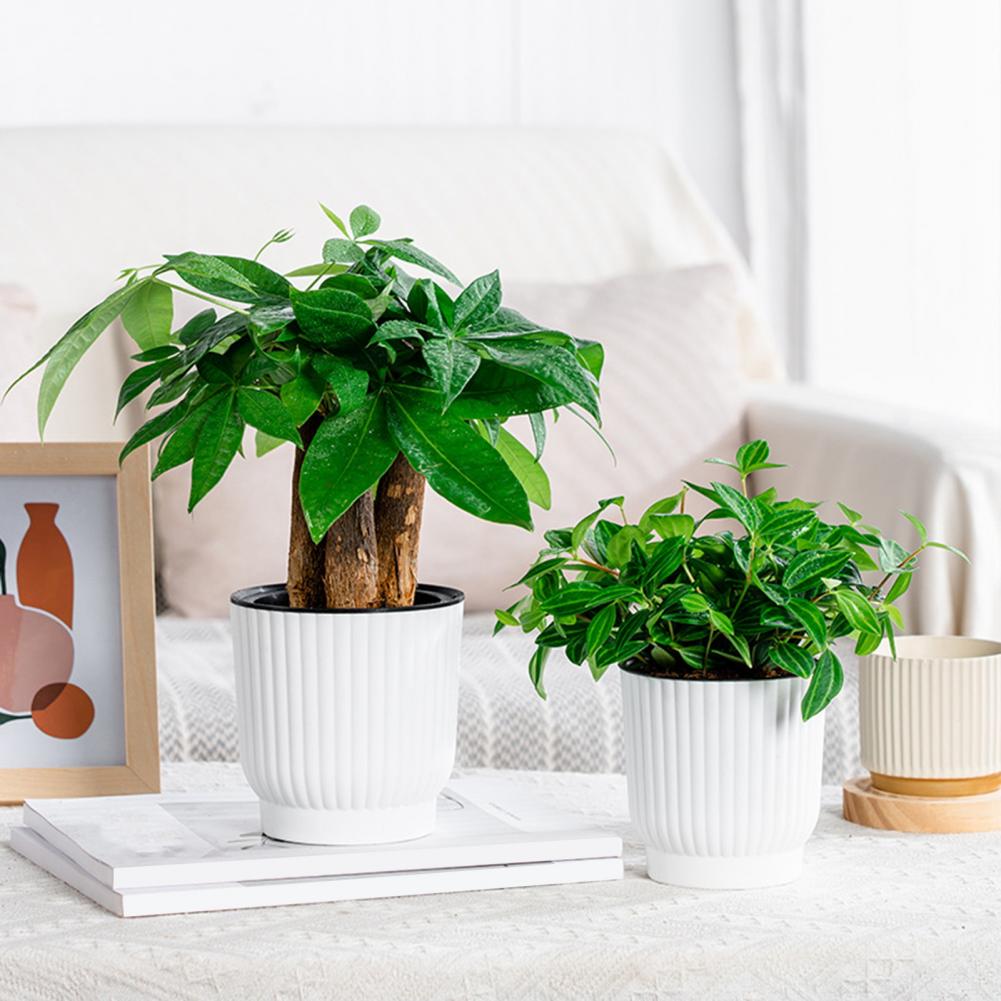 Indoor Self Watering Pot Venti – Indoor Herb Garden Kit Bewertung und Preis