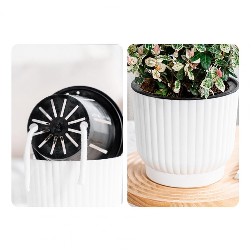Indoor Self Watering Pot Venti – Indoor Herb Garden Kit Bewertung und Preis