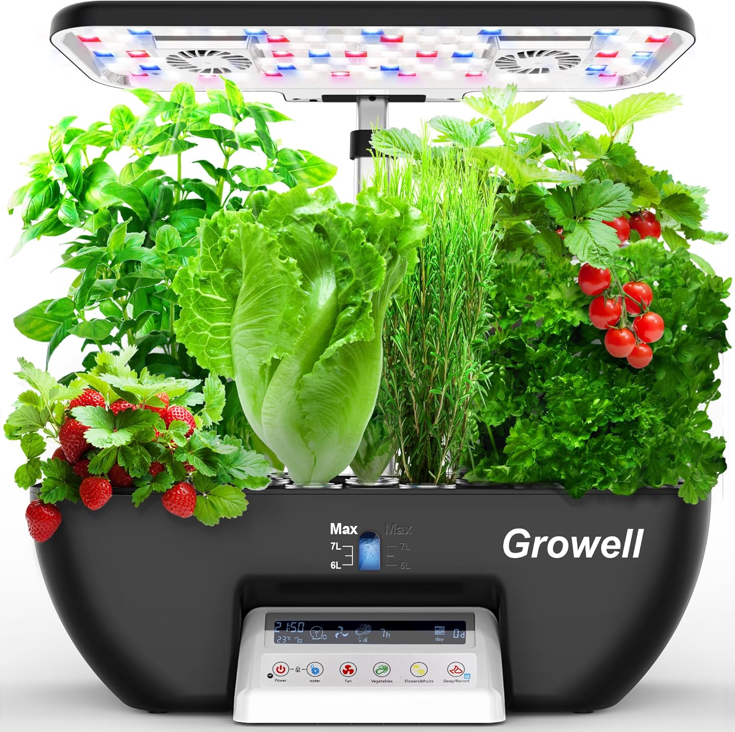 Hydroponics Growing System Kit – Indoor Herb Garden Kit Bewertung und Preis