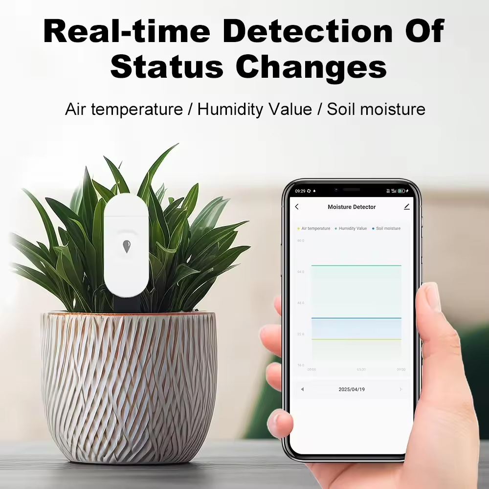 Tuya Zigbee Temperature Humidi – Smart Garden Sensors Bewertung und Preis