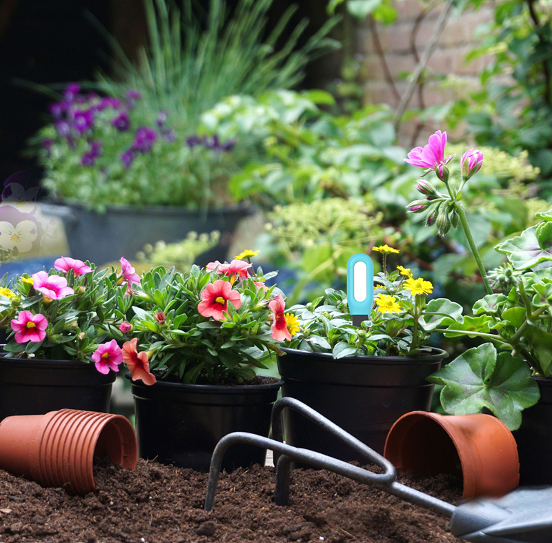New Upgrade Soil Sensor Humidi – Smart Garden Home Assistant Bewertung und Preis