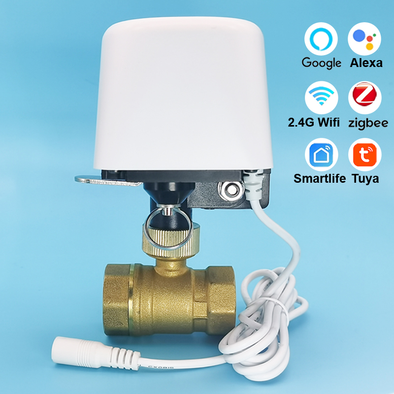 Tuya Zigbee Or Wifi Water Valv – Smart Garden Home Assistant Bewertung und Preis