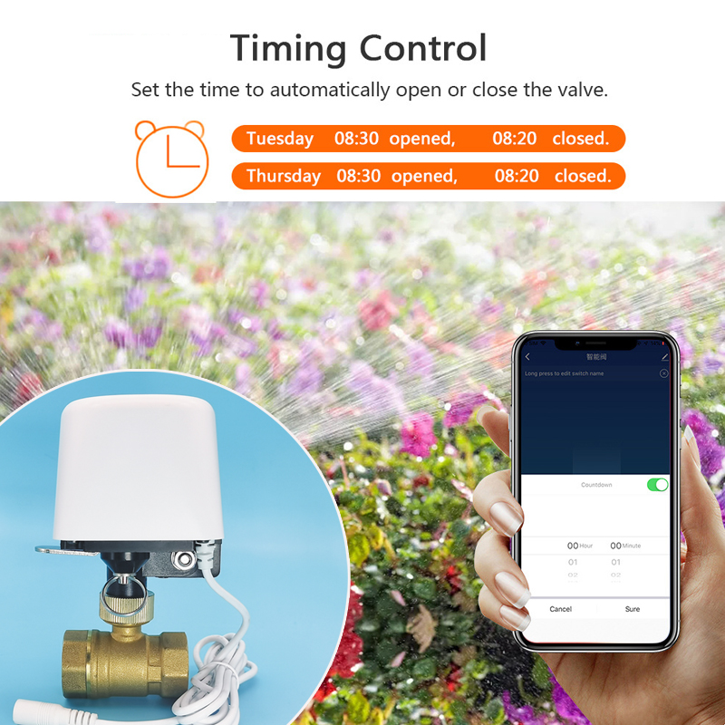 Wifi  Zigbee Tuya Water Valve  – Smart Garden Home Assistant Bewertung und Preis