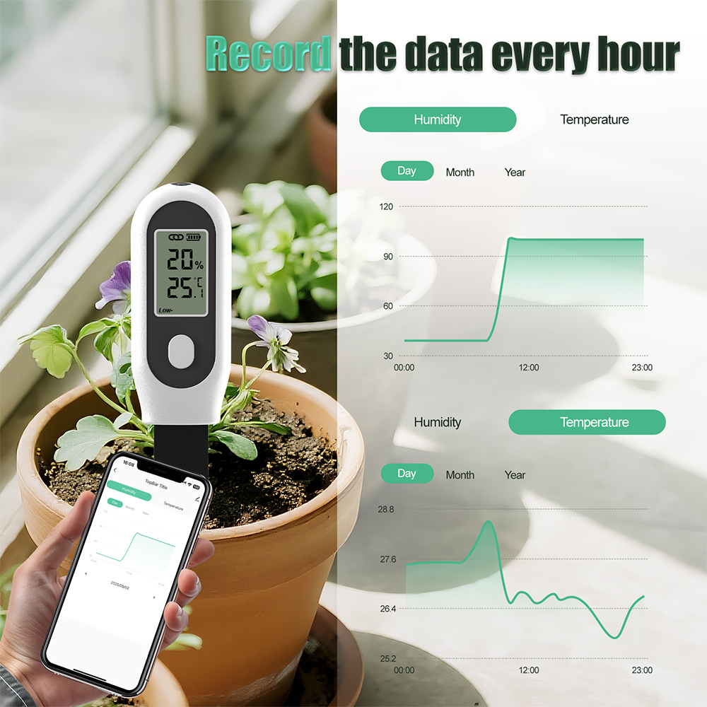 Tuya Zigbee 3 in 1 Soil Temper – Smart Garden Home Assistant Bewertung und Preis