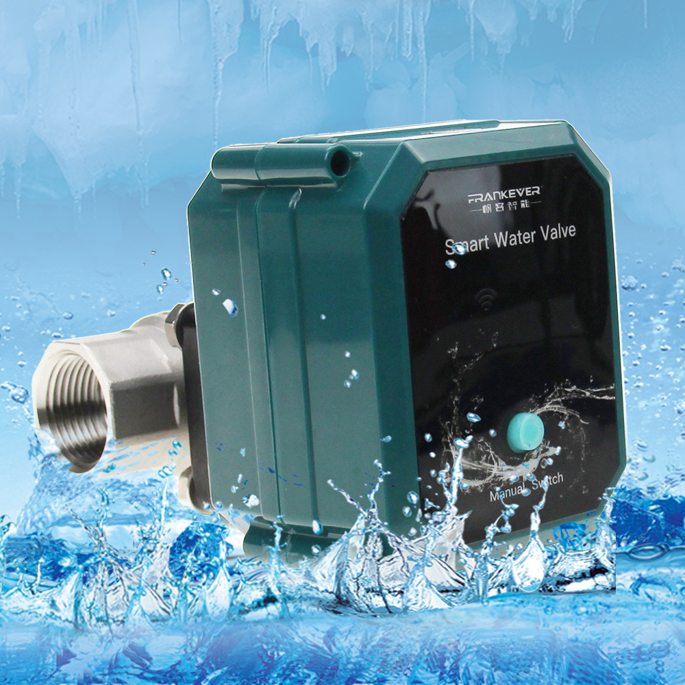 Wifi Tuya Water Valve Shut off – Smart Garden Home Assistant Bewertung und Preis