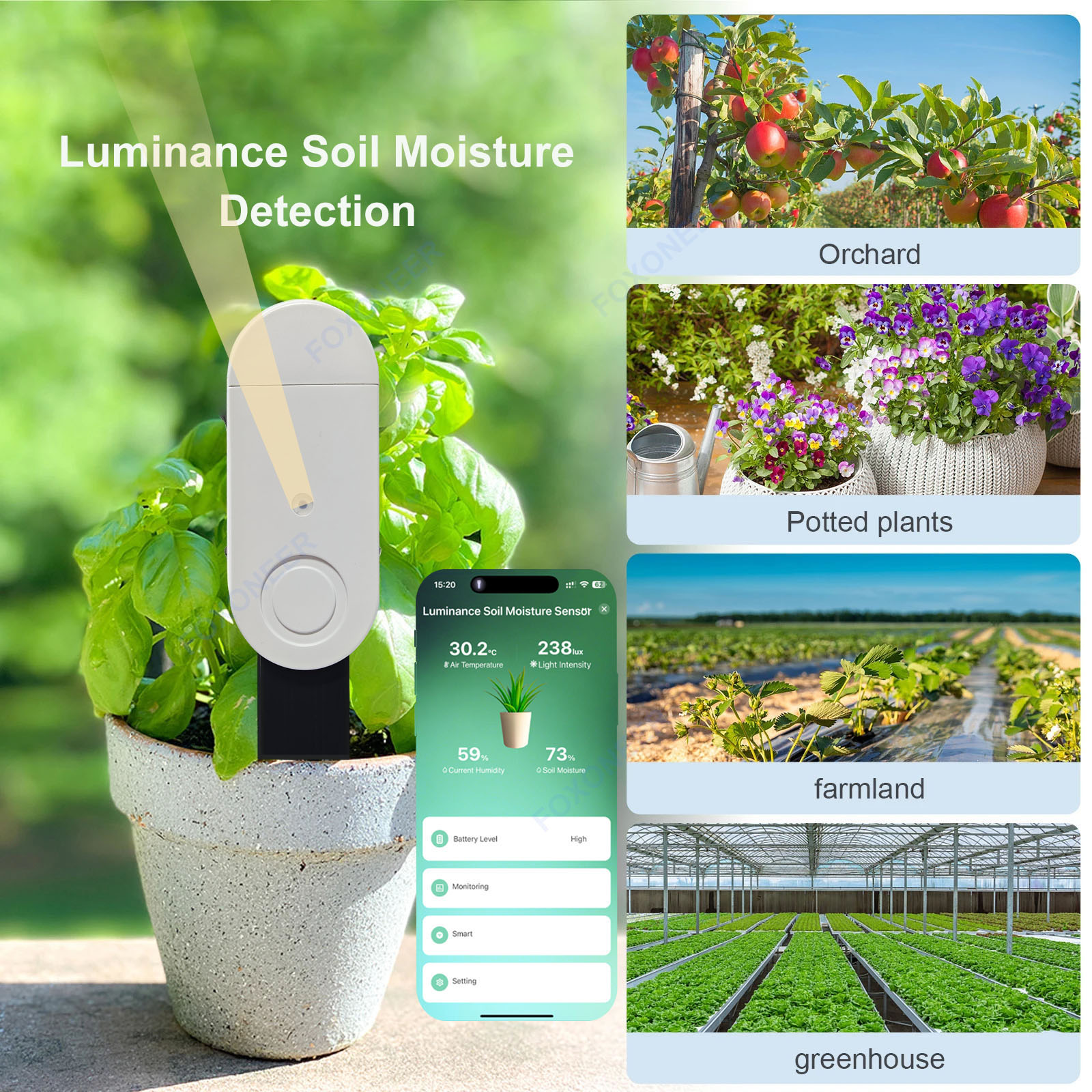 Zigbee 3.0 Smart Soil Tester L – Smart Garden Home Assistant Bewertung und Preis